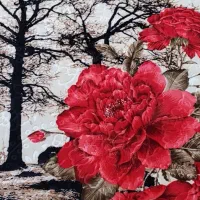 پتو دو نفره شادیلون|رختخواب، بالش، پتو|بهبهان, |دیوار