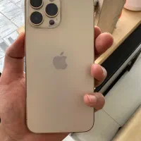 13 pro max