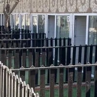 پانسیون سگ و حیوانات آموزشی