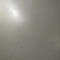 سوییت مناسب خانواده