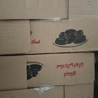 خرمای کلوته|خوردنی و آشامیدنی|رشت, دباغیان|دیوار