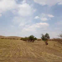 فروش زمین ۱۲ هزار متر واقع در شهر گلسار (ویست)|فروش زمین و ملک کلنگی|تهران, انبار نفت|دیوار