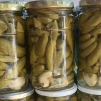 خیارشور|خوردنی و آشامیدنی|شیراز, حافظیه|دیوار