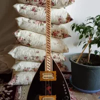 ساز باغلاما برقی|سازهای سنتی|پیرانشهر, |دیوار