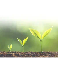 35 میلیون سرمایه