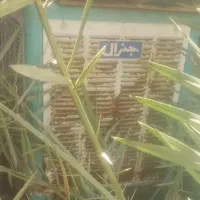 کولر ابی