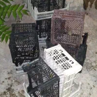 سبد پلاستیکی