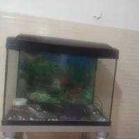 آکواریوم وملزومات