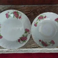 کاسه بشقاب گل سرخی مرجان