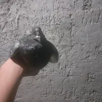 من کفتر  عالی دارم   با گره معامله میکنم