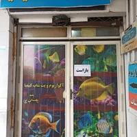 آکواریوم و پت شاپ کیمیا (ماهی پرند)