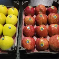 سیب زرد و قرمز لبنانی|خوردنی و آشامیدنی|مشهد, رده|دیوار