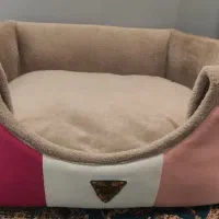 لوازم جانبی گربه|گربه|بومهن, |دیوار