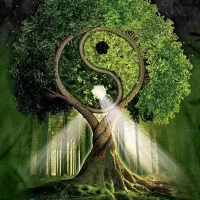 زمین کشاورزی