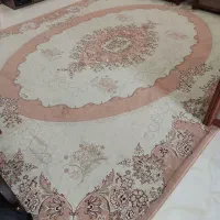 قالی سلیمان