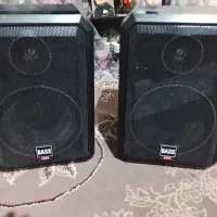 دوعدد باند باس