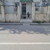 حفاظ شاخ گوزنی|خدمات پیشه و مهارت|گنبد کاووس, |دیوار