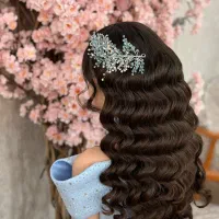 آموزش و انجام خدمات vip شنیون