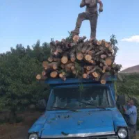 خریدچوب