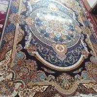 فرش|فرش|گرگان, |دیوار