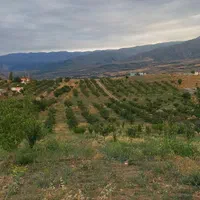 فروش ۵۰۰ متری باغ درجاده اهر مشگین|فروش دفتر صنعتی، کشاورزی، تجاری|فندقلو, |دیوار