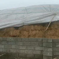 یونجه|عمده‌فروشی|پارس‌آباد, |دیوار