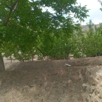 فروش  باغ رودگل قز|فروش خانه و ویلا|سبزوار, کراب|دیوار