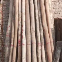 خریدار انواع چوب سقفی و باغی خشک و تر در محل شما
