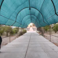 فروش و دوخت تور سبز سایبان