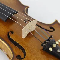 ویولن دست ساز تانگ لینگ|ویولن|شیراز, پارک آزادی|دیوار