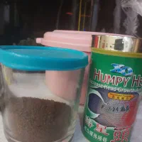 غذای  ماهی فلاور