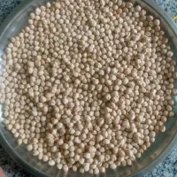 نخود ممتاز و زودپز کرمانشاه
