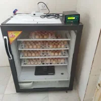 دستگاه جوجه کشی ارتا