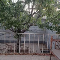 فروش خانه ویلایی ۲۲۰ متری ۲ خوابه در گلستان یکم|فروش خانه و ویلا|کرج, گلستان|دیوار