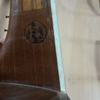 تار حرفه ای رامین علیاری قدیمی|سازهای سنتی|بندر انزلی, سی متری|دیوار