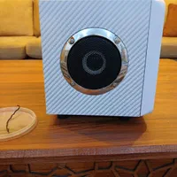 اسپیکر ونگسانگ