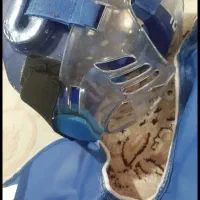 وسایل تکواندو|تجهیزات ورزشی|شیراز, گویم|دیوار