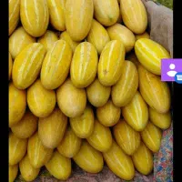 خربزه
