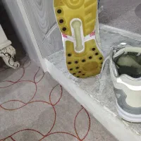 کتونی zx برلین سفارش ژاپن|کیف، کفش، کمربند|کرج, شهرک سهرابیه|دیوار