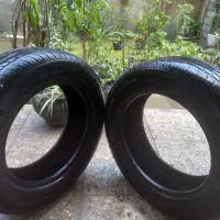 یک حلقه لاستیک ۱۸۵/۶۰/۱۴ مخصوص ۲۰۶ و ساینا