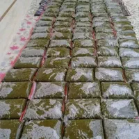 سبزی خورشتی و ماهی خوزستان رامهرمز|خوردنی و آشامیدنی|شاهینشهر, طالقانی|دیوار