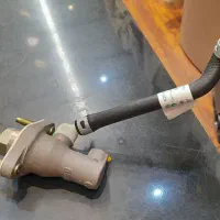 کلاژ بالای شاهین