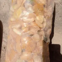 لوازم جانبی حیوانات