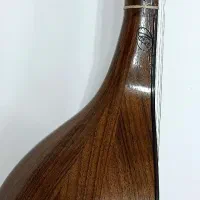 سه تار شاهرخی دو مهر اصل|سازهای سنتی|آبدانان, |دیوار