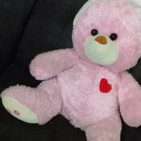 عروسک خرسی|اسباب‌بازی بچه|شیراز, شهرک فرهنگیان|دیوار