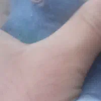 گمشده|حیوانات|سبزوار, اسلام آباد|دیوار