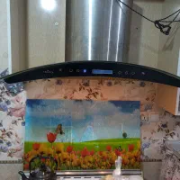 هود CROWN اصلی|هود|قم, تعویض پلاک|دیوار