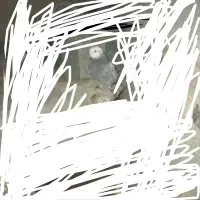 کبوتر گم شده|پرنده|نیمروز, |دیوار