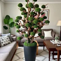 استخدام خانم هنرمند