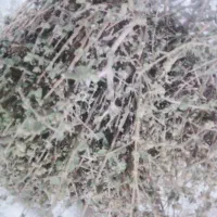 فروش آبیشن بسیارعالی باقمت مناسب